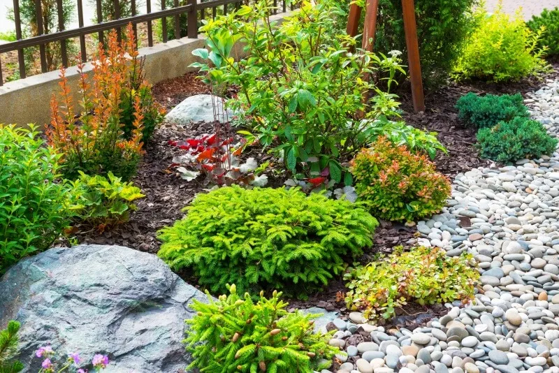 landscaping with rock